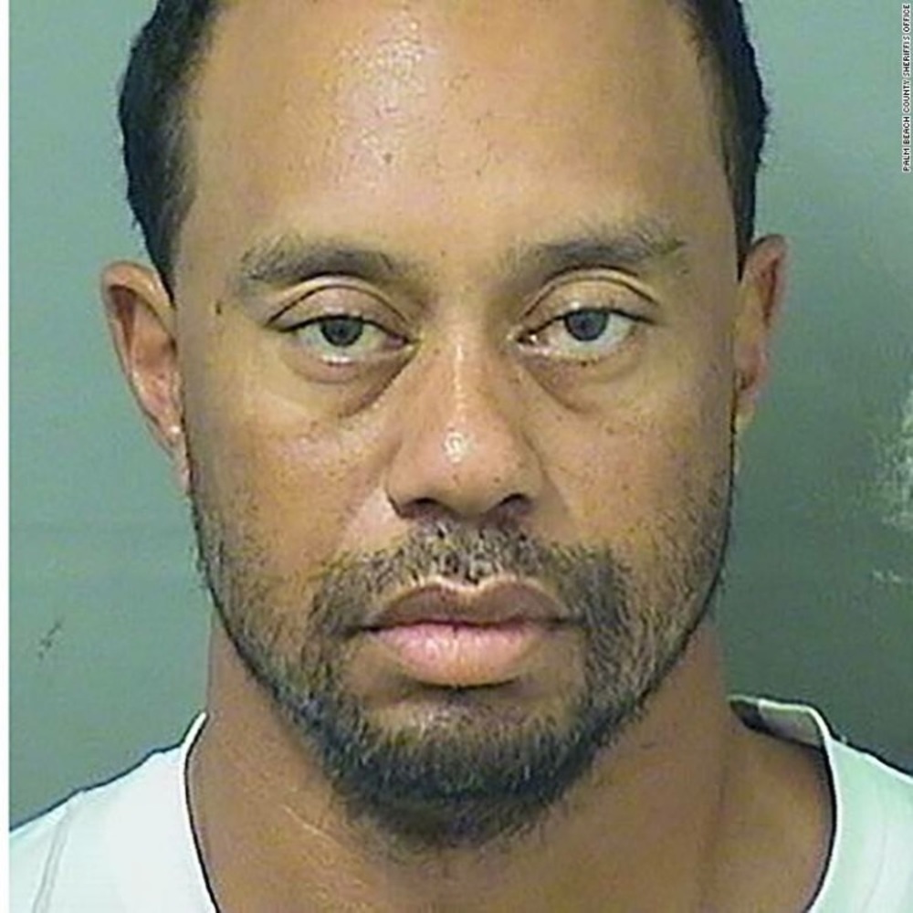 Meet your Posher, Howard